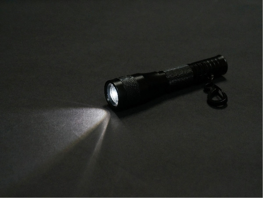 Het minigezoem Warme Witte LEIDENE Flitslicht van Keychain met 1 * AMERIKAANSE CLUB VAN AUTOMOBILISTEN Droge Batterij