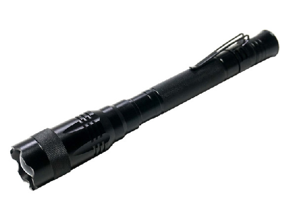 Het milieuvriendelijke de Batterijcree het LEIDENE van het keychainaluminium 2AA embleemflitslicht van Porjective voor holloween